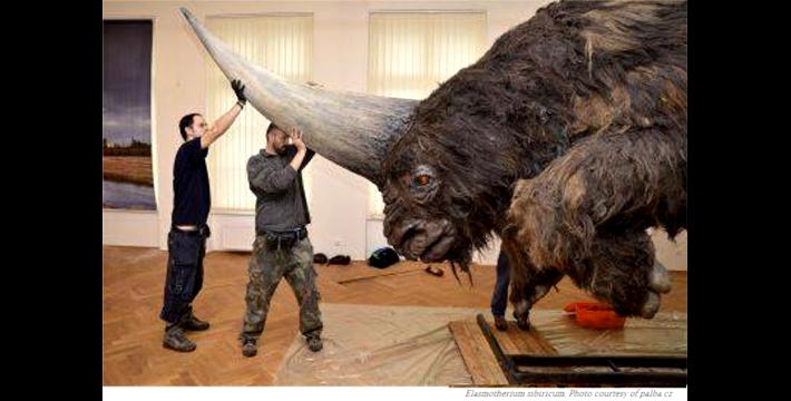 OH NO! ANOTHER MYTH TRUE? &ldquo;29.000 YR. OLD&rdquo; SIBERIAN UNICORN DISCOVERED!