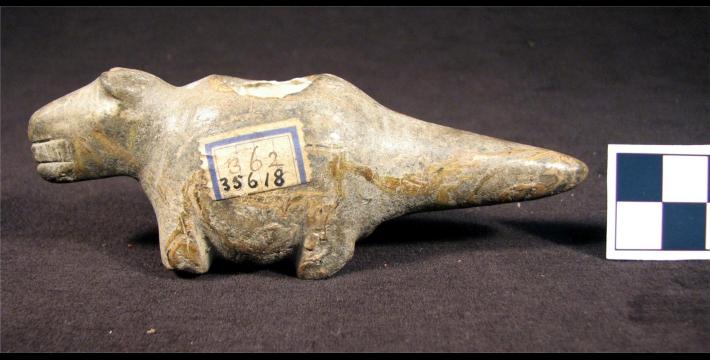 Three Cryptozoological Mysteries: The Penn State Dinosaur, Chinese Rhino &amp; 19th Century Pterosaur