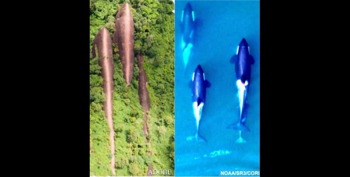 The Wonder of Three Whale Rock in Thailand-What&rsquo;s Their Genesis?