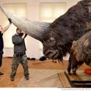OH NO! ANOTHER MYTH TRUE? &ldquo;29.000 YR. OLD&rdquo; SIBERIAN UNICORN DISCOVERED!
