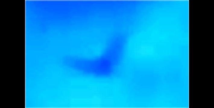 Unknown flying creature at 35,000 feet - Dragon or Thunderbird?